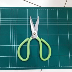 GUNTING KODOK GAGANG HIJAU FS P3